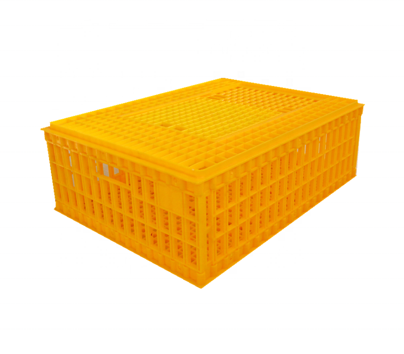 100% PE material plastic poultry transport cage, transport crates for live poultry (skype: zh-lydia)