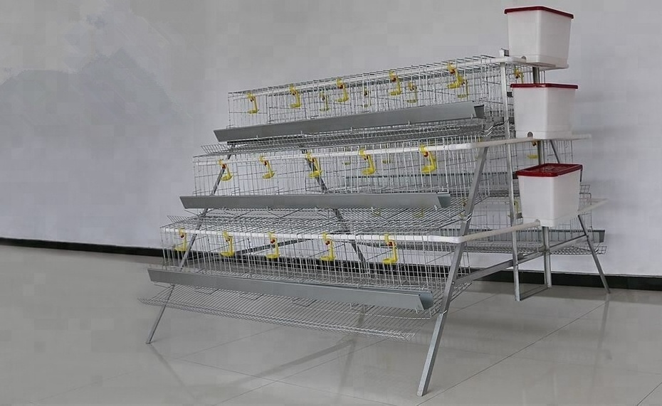 broiler cage, chicken layer cage (Whatsapp: +8615965977837)