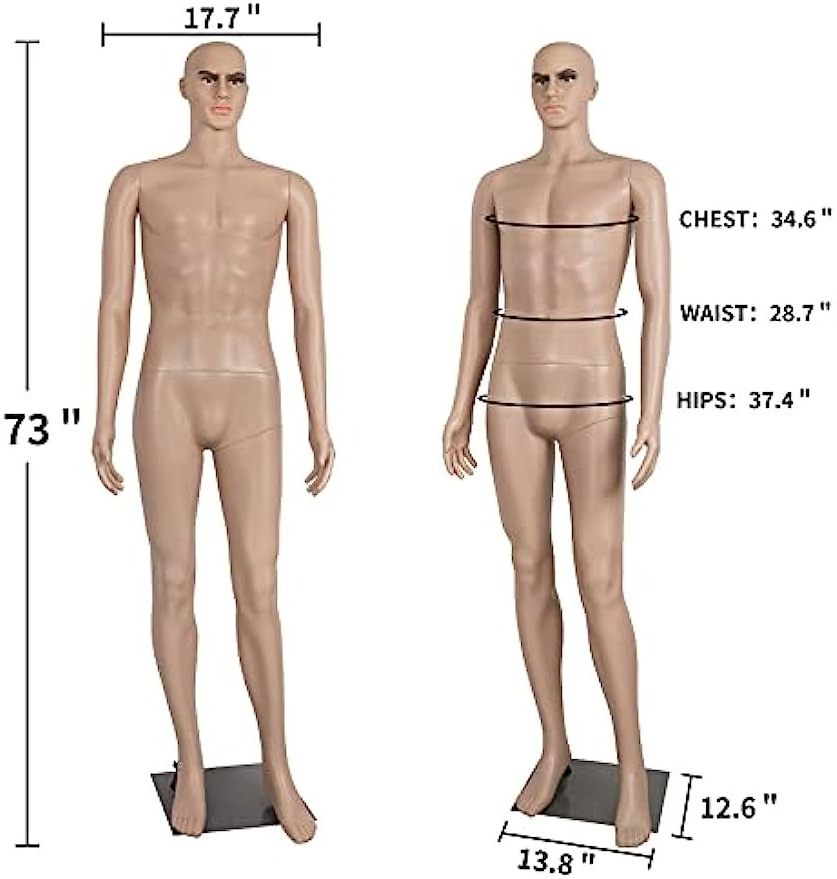 Male Mannequin  Stand Adjustable 73 inch Realistic Detachable Manikin Body Display Head Arm Rotation Metal Base