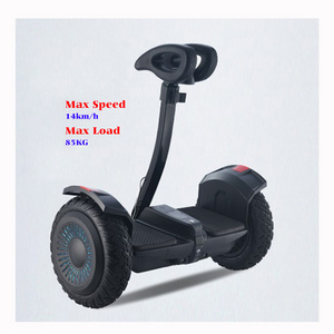 EACHkids Self-Balancing Electric Scooters 13 Inches 36V 700W Self Balancing Smart Two Wheels For Adult