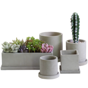 Rectangular square cement succulent plant pots small planter pot cactus flower pot with tray for green plant