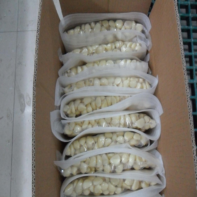 Garlic Peeling Machine Design Garlic Cleaning Machine