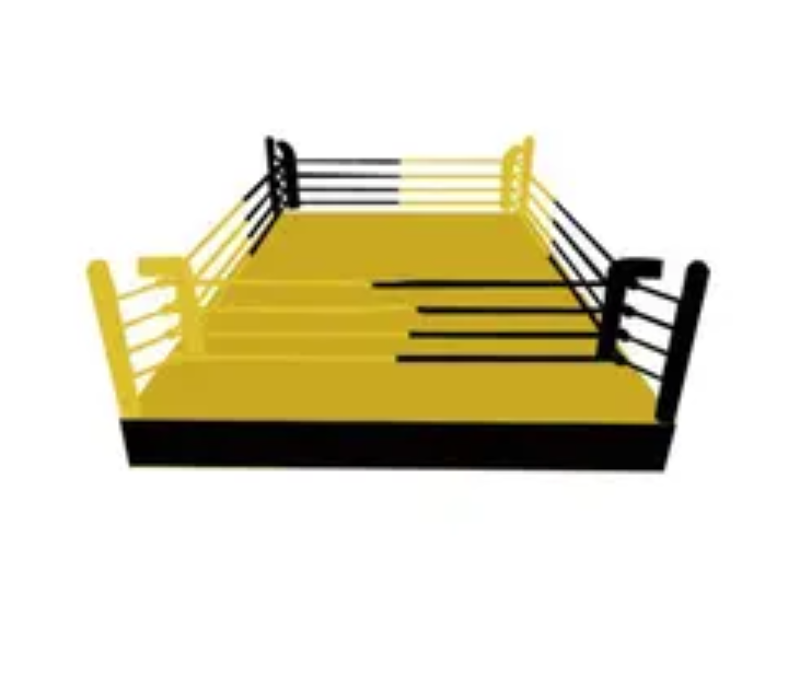 YG FITNESS YG -MMA13 high quality  Customizable commercial fitness floor level boxing ring size mma octagon cage equipment