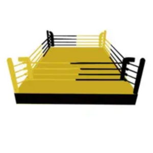 YG FITNESS YG -MMA13 high quality  Customizable commercial fitness floor level boxing ring size mma octagon cage equipment