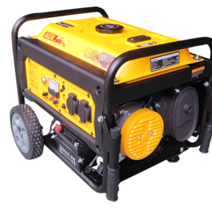 Portable Inverter Generator