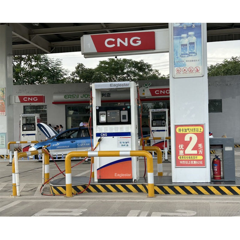 Cng Home Filling Station Single Double Nozzle CNG Dispenser used in Gas Station