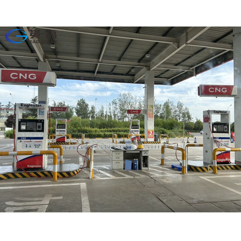 Cng Home Filling Station Single Double Nozzle CNG Dispenser used in Gas Station