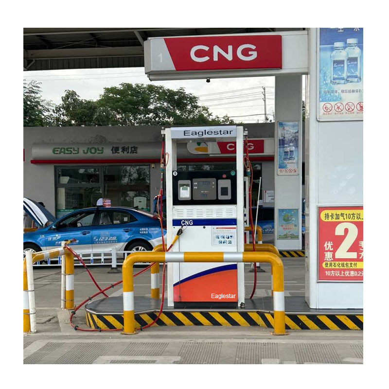 Cng Home Filling Station Single Double Nozzle CNG Dispenser used in Gas Station