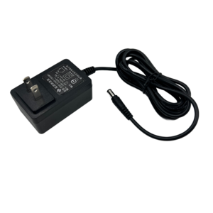 intertek power adapter 24v  RCM 24V 0.75A christmas light power supply