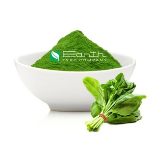 Dehydrated Spinach Powder