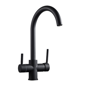 Black Kitchen Sink Filter Faucet 304 Stainless Steel with Brass Adjustable Double Handle with Pull out Spray Function