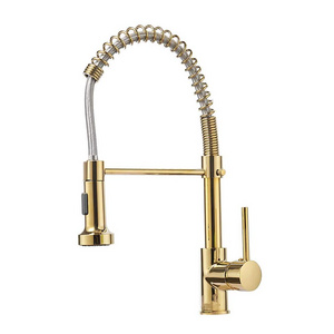 Single Handle Pull Down Spring Spout Mixers Tap Brass Faucets for Kitchen Sink Kitchen Pull Out Taps Gold Brushed Kitchen Faucet