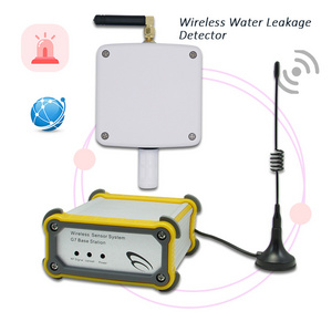 Smart Industry Battery Operated Wireless Flood Sensor Water Leakage Flow Alarm Immersion Water Leak Detector