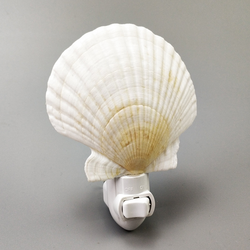 Creative Nordic Decorative Natural Sea Snail Cute Shell Night Light Lamp For Home Decoration Bedroom