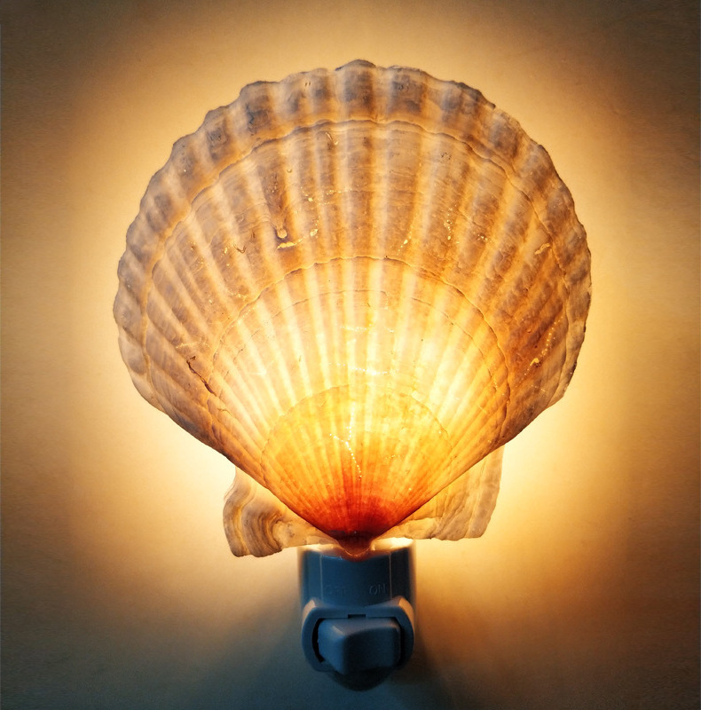 Creative Nordic Decorative Natural Sea Snail Cute Shell Night Light Lamp For Home Decoration Bedroom