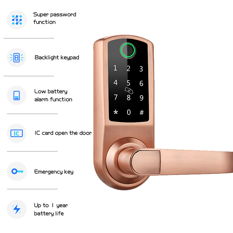 Newest Security 5-in-1 Keyless Entry Home Fingerprint Door Lock Smart Lock with Reversible Handle