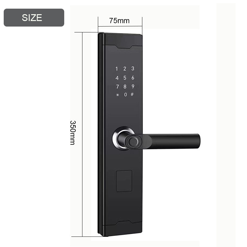 2023 New Product Smart Phones Controlled Keyless Entry Door Lock Finger print Door Lock