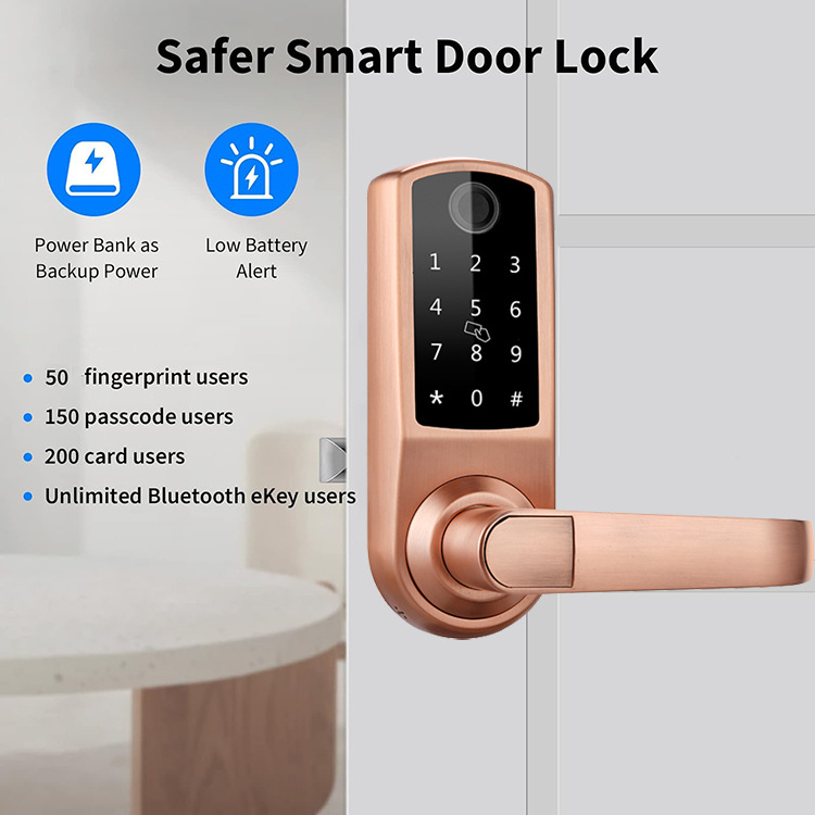 WiFi Biometric Fingerprint Digital Keyless cerradura fechadura Entry Smart Door Lock