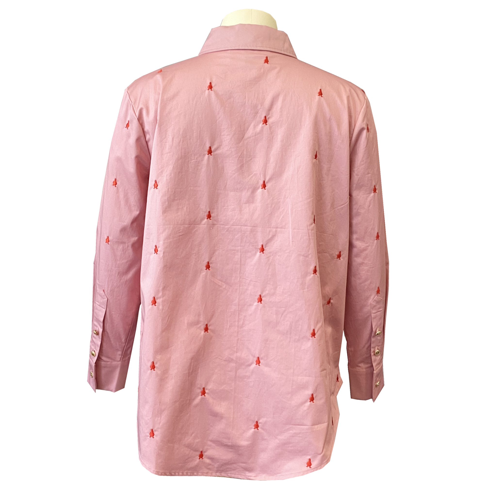 High Quality 100% Cotton Women Clothing Fashion Long Sleeve Shirt For Women