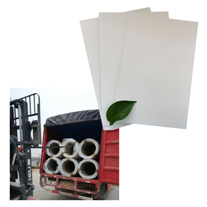 FRP panel FRP sheet roll use in wall