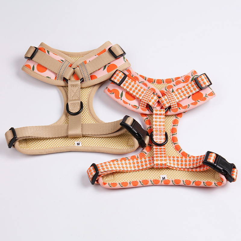 OKEYPETS 2023 Designer Dog Harness Leash and Collar Bow Set Dogs Accessories Neoprene Soft Small Pet Harness for Dogs