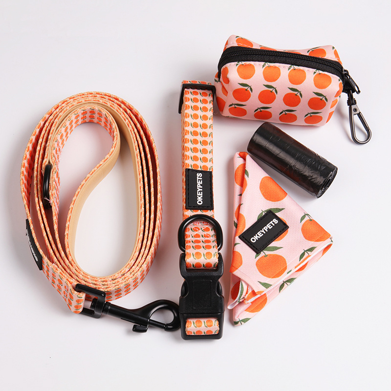 OKEYPETS 2023 Designer Dog Harness Leash and Collar Bow Set Dogs Accessories Neoprene Soft Small Pet Harness for Dogs