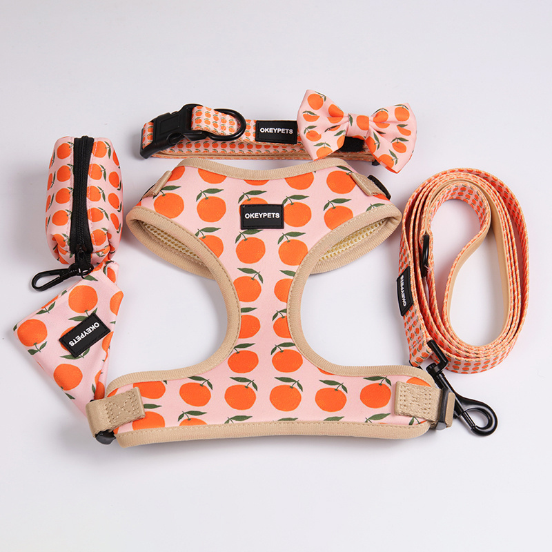 OKEYPETS 2023 Designer Dog Harness Leash and Collar Bow Set Dogs Accessories Neoprene Soft Small Pet Harness for Dogs