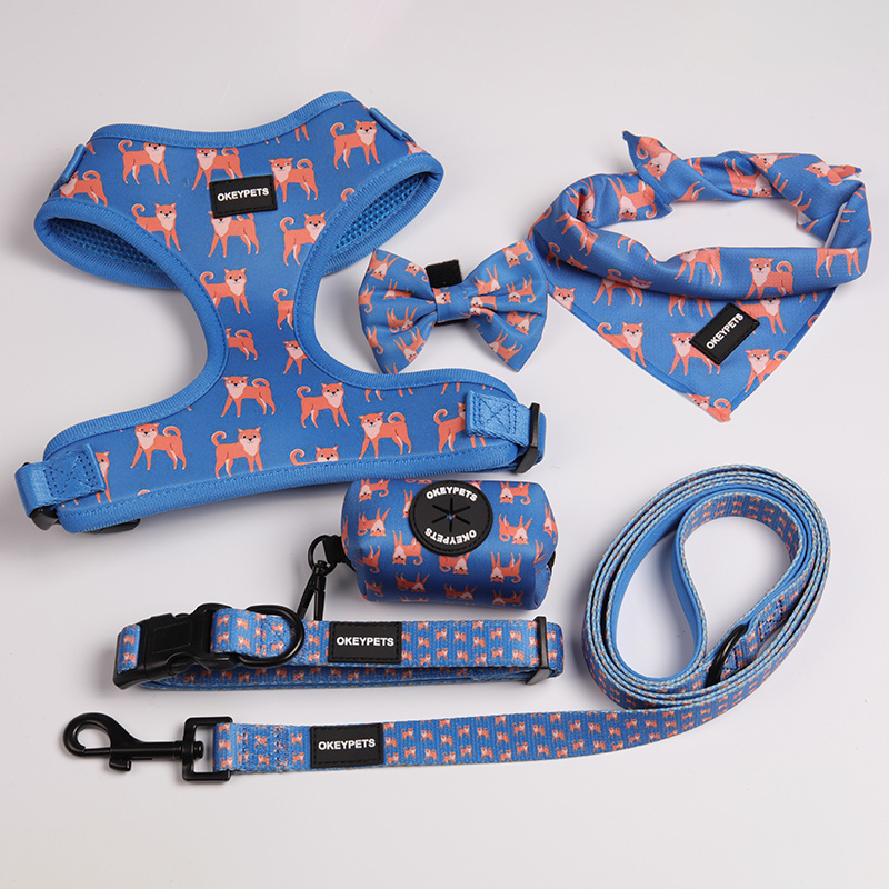 OKEYPETS Small Dog Harness Set Manufacturers Custom Pattern Adjustable Pretty Cute Vest Harness And Leash Set