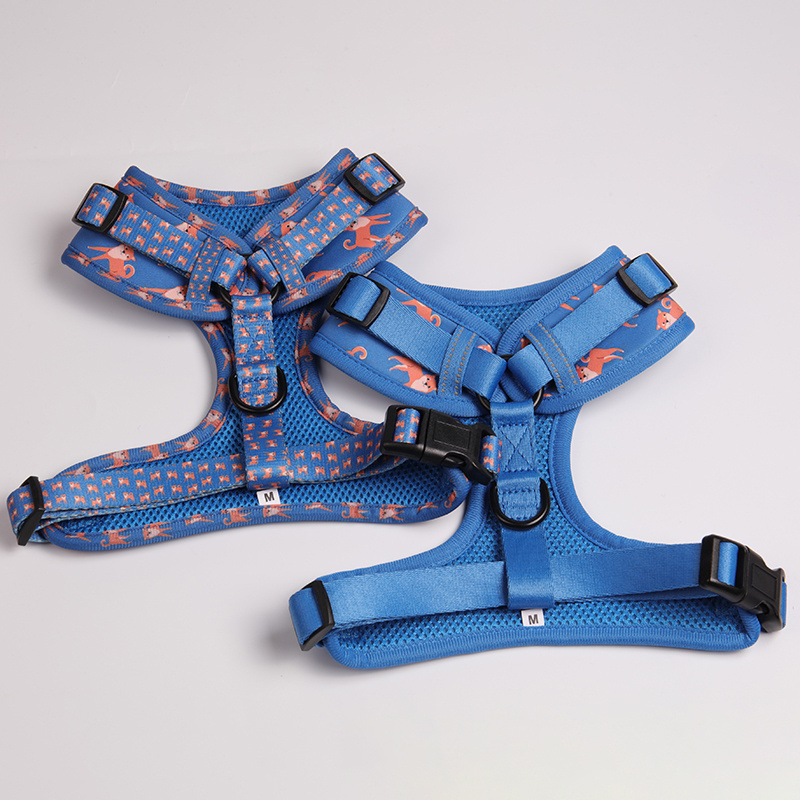 OKEYPETS Small Dog Harness Set Manufacturers Custom Pattern Adjustable Pretty Cute Vest Harness And Leash Set