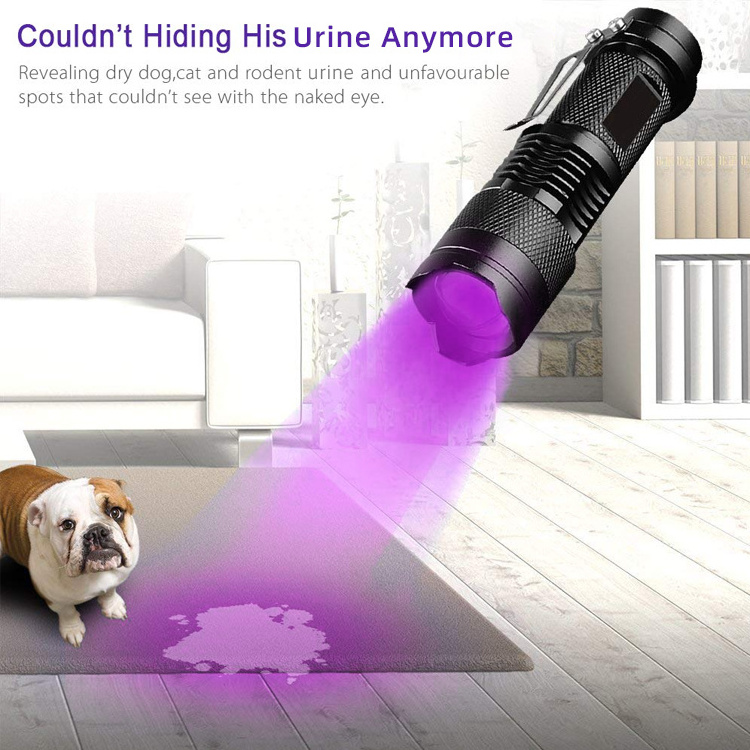 Portable Pocket 395nm Ultra Violet Torch Black Light Pet Urine Scorpion Detectors Mini Led UV Flashlight