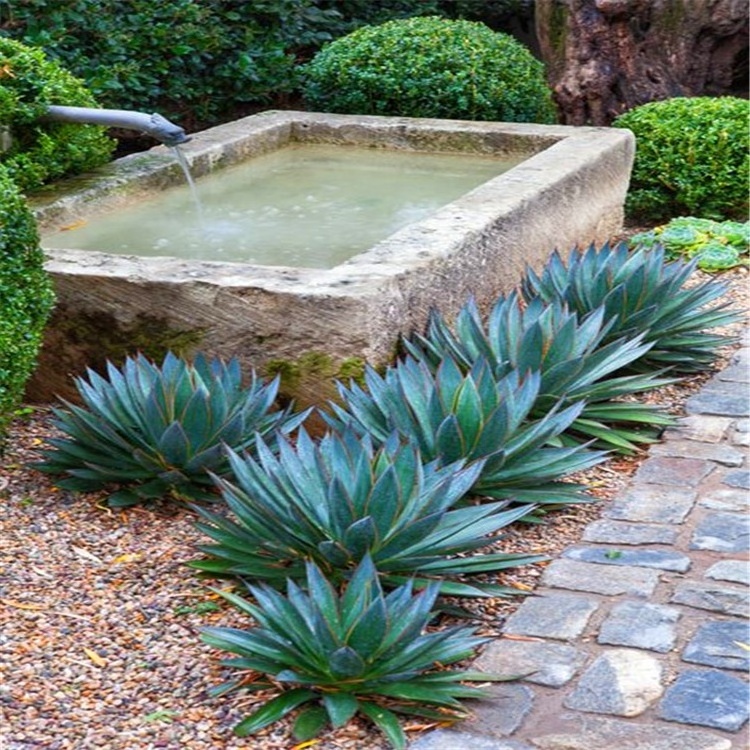 Antique old stone trough ancient stone flower pot landscaping stone water fountain