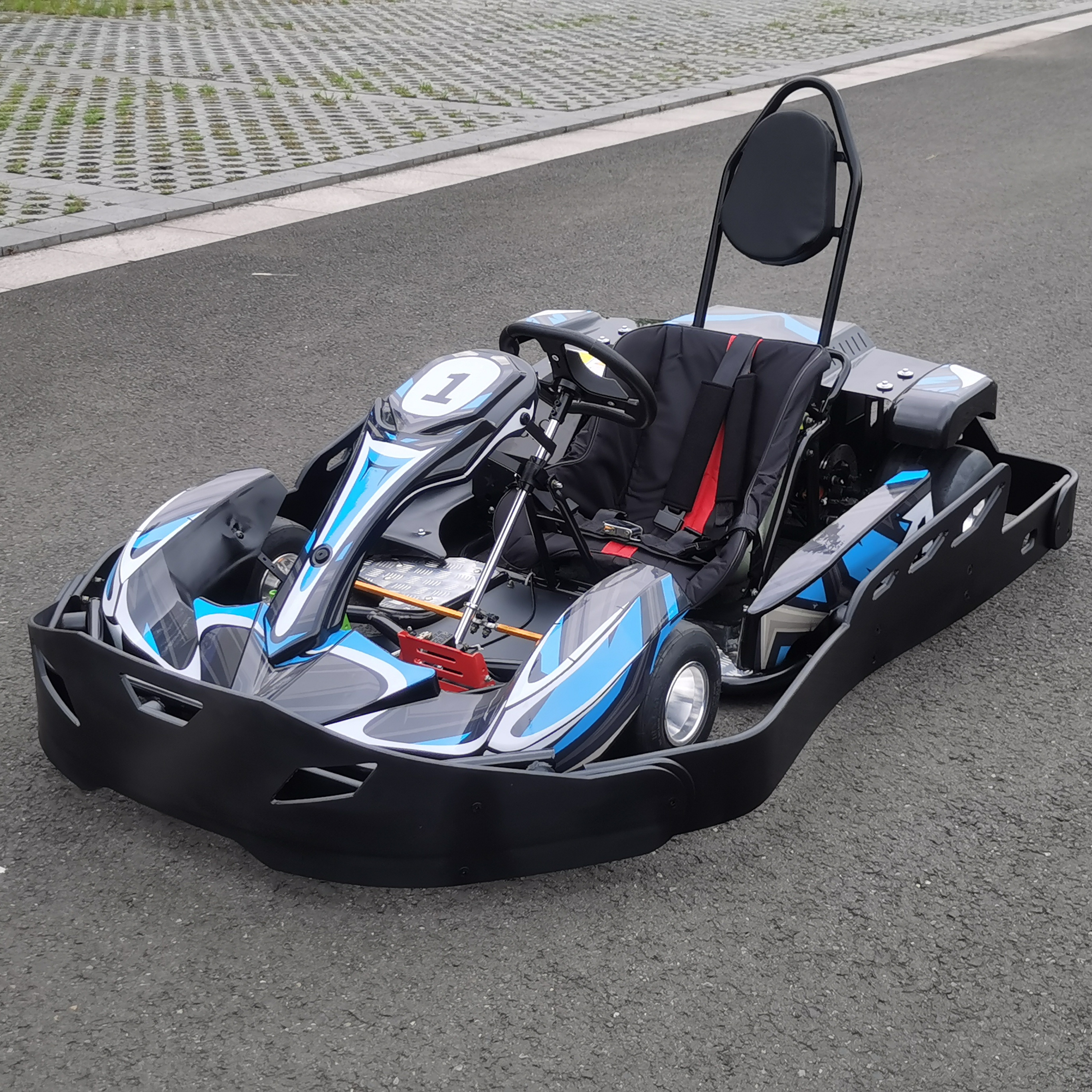 Professional Racing Go Kart For Adult 3000w high speed Lithium Battery Electric Go Kart