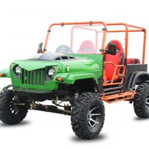 2021 Easy-go newest cheap 300cc Adult Gas Powered Dune Buggy 250cc With CE