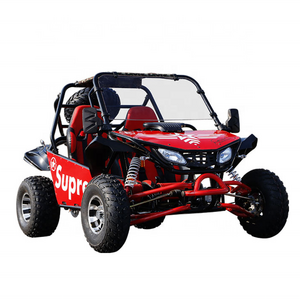 Easy-go hot selling 200cc/230cc/300cc cheap high quality 2 seats adults off road buggy/dune buggy