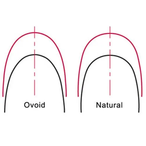 Easyinsmile Super Elastic Dental Archwires Orthodontics NiTi Arch Wires Round Section Upper and Lower Archwires