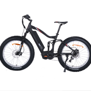 motor certral 48V 1000W electric bicycle electric fat bike electric fat wheel bike electric fat wheel bicycle electric bike