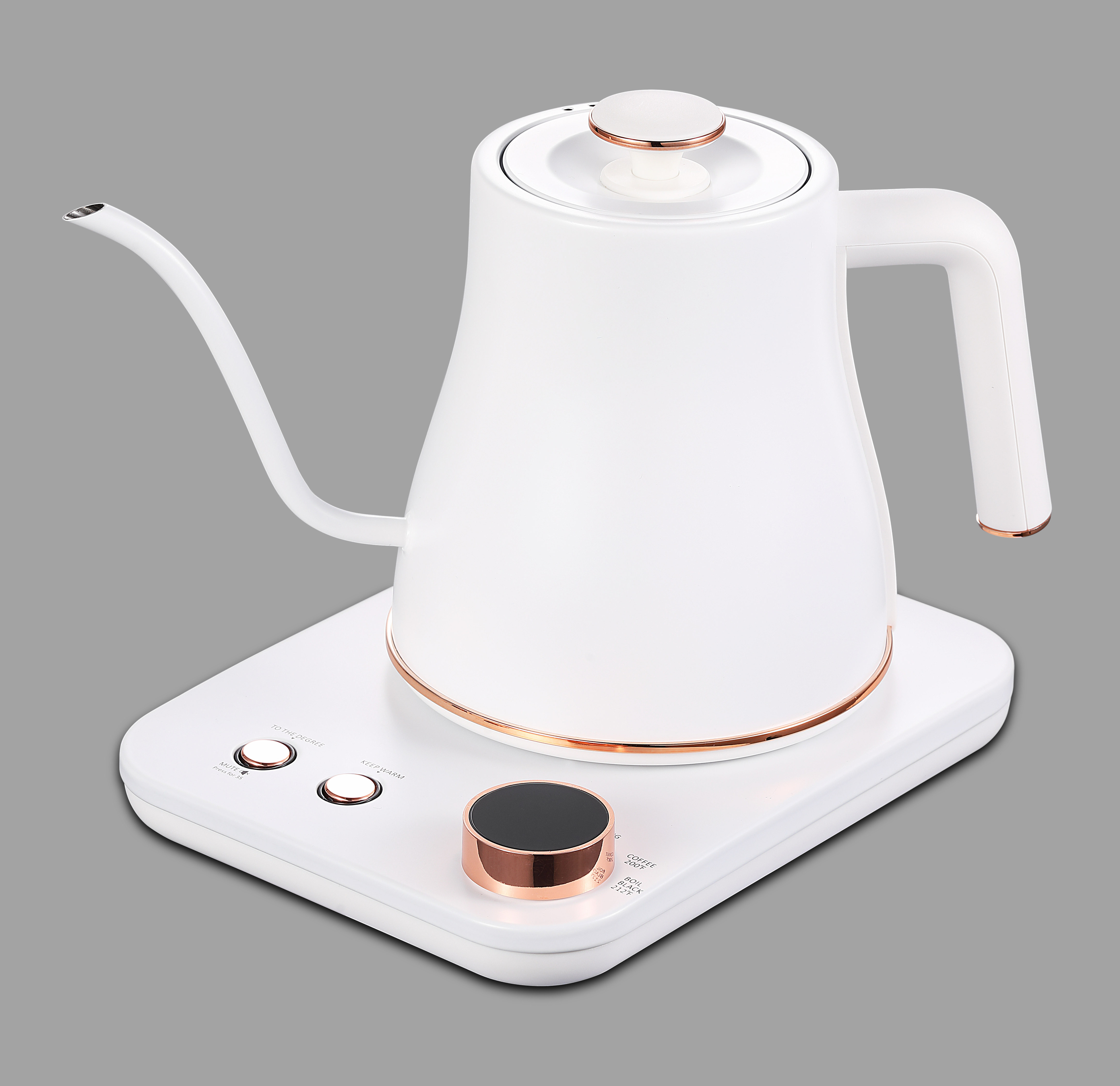 New design Multi-temperature Control 1.0L Design Digital Kettle Coffee Kettle Gooseneck Kettle Electric