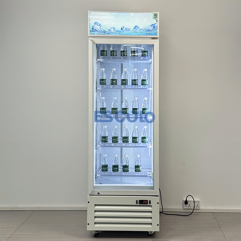 New Arrival Upright Refrigerator Showcase Over-sized Robust Compressor Drink Beverage Fridge With Lock