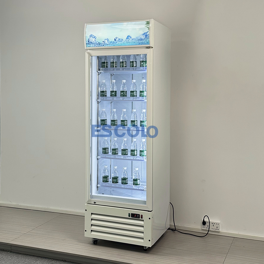 New Arrival Upright Refrigerator Showcase Over-sized Robust Compressor Drink Beverage Fridge With Lock