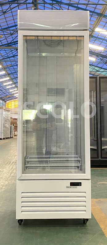 CE Frozen Food Vertical Showcase Upright Single Door Freezer For Supermarket