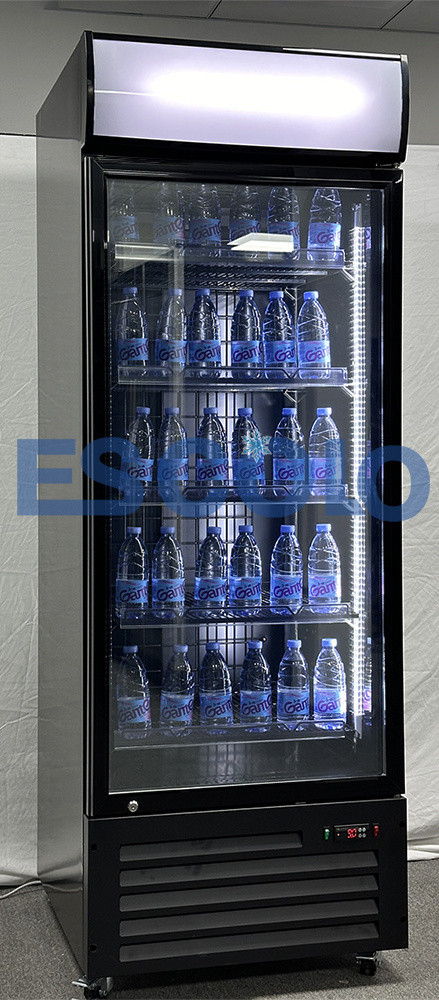 Best Selling ETL Upright Single Door 800L Energy Drink Display Refrigerator Showcase Drink Cooler for Superior Beverage Cooling