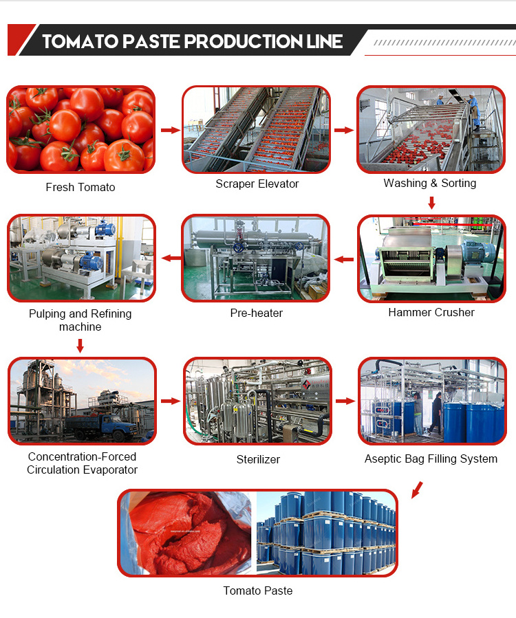 Small Automatic Algeria Tomato Paste Puree Processing Line Making Sauce Ketchup Machine