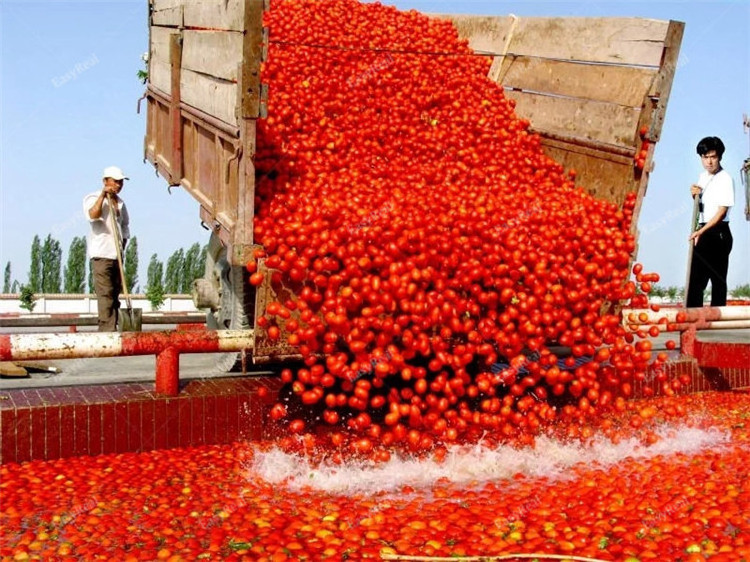 Hot Sales Tomato Making Machines Tomato Paste Sauce and Pulp Complete Production Processing Line Plant