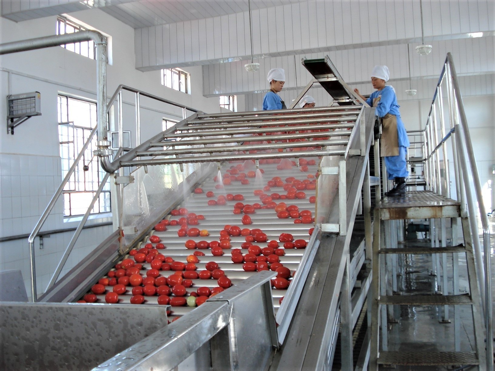 Complete Tomato Puree Juice Sauce Production Machinery Making Machine Plant for Tomato Sauce Maker