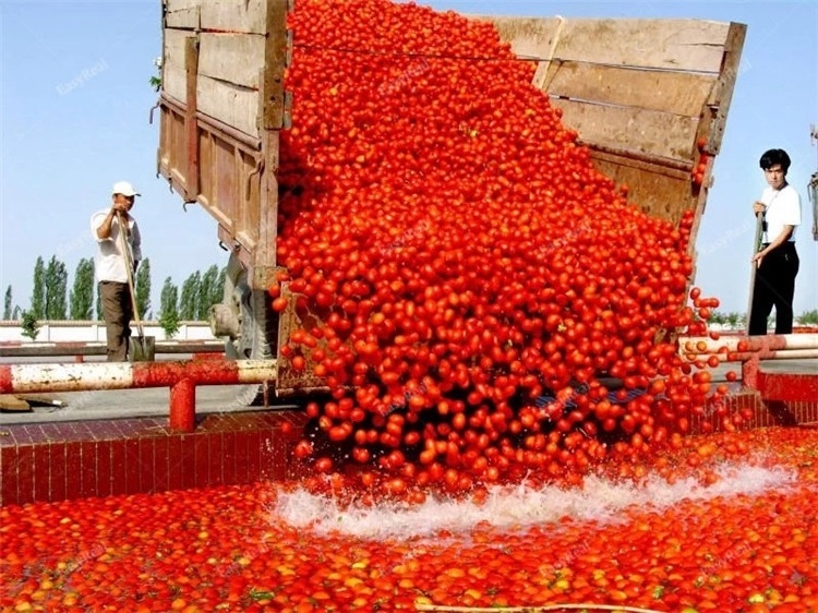 Good Manufacturing Machine Tomato Paste Sauce Processing Plant Tomato Concentrate Production Line