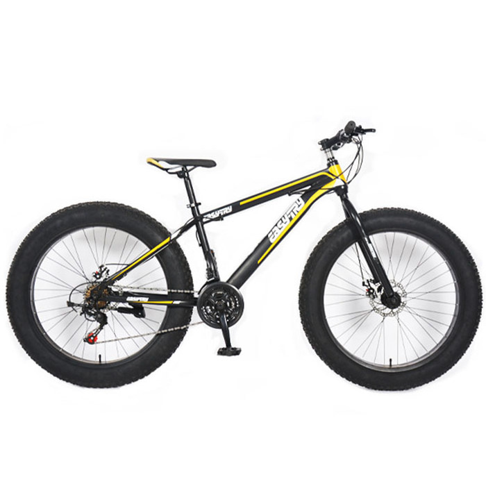 Hot Sale Adult 24 Inch 26 Inch 7 21 24 27 30 Speed Tyre Full Suspension Fat Bike Snow Beach Mountain Bike