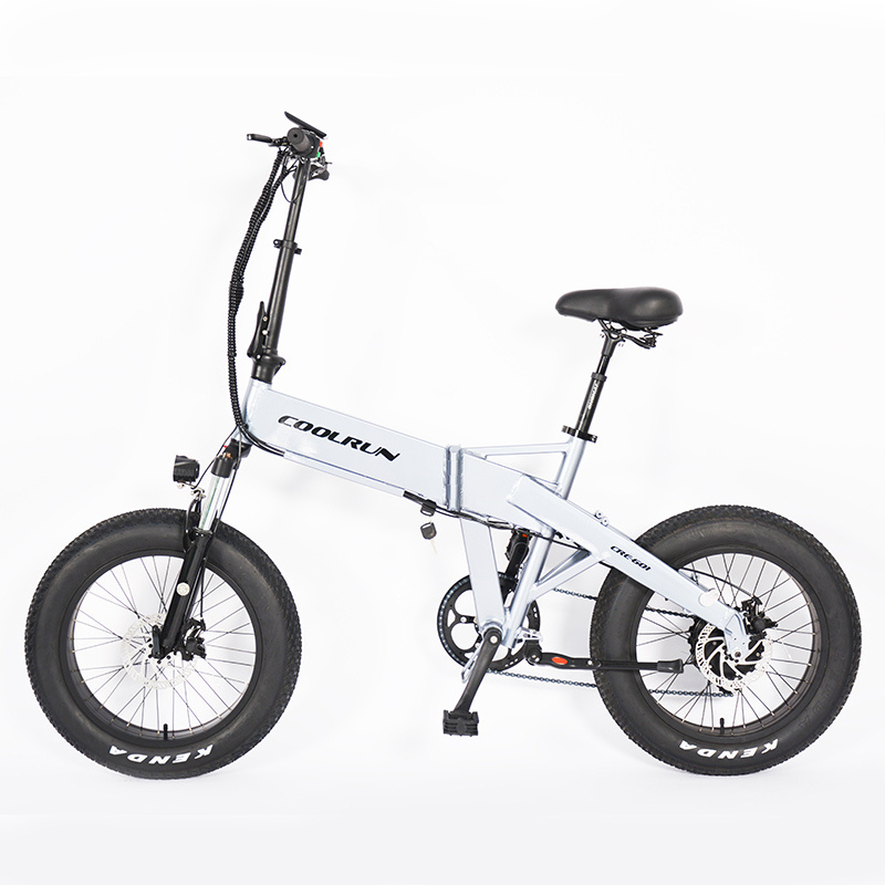 20 inch Fat tires Beach bike Snow bike Aluminum alloy Frame 48V 250W 500W 750W suspension Folding Electric Bike