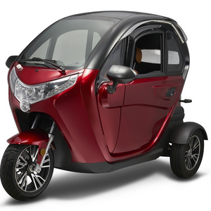 Fully Enclosed Smart Adult Trike 3 Wheel Mini Electric Mobility Scooter with EEC Certification for Adult