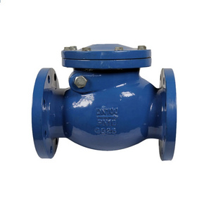 BS EN 12334 Cast Iron Swing Check Valve PN10/16