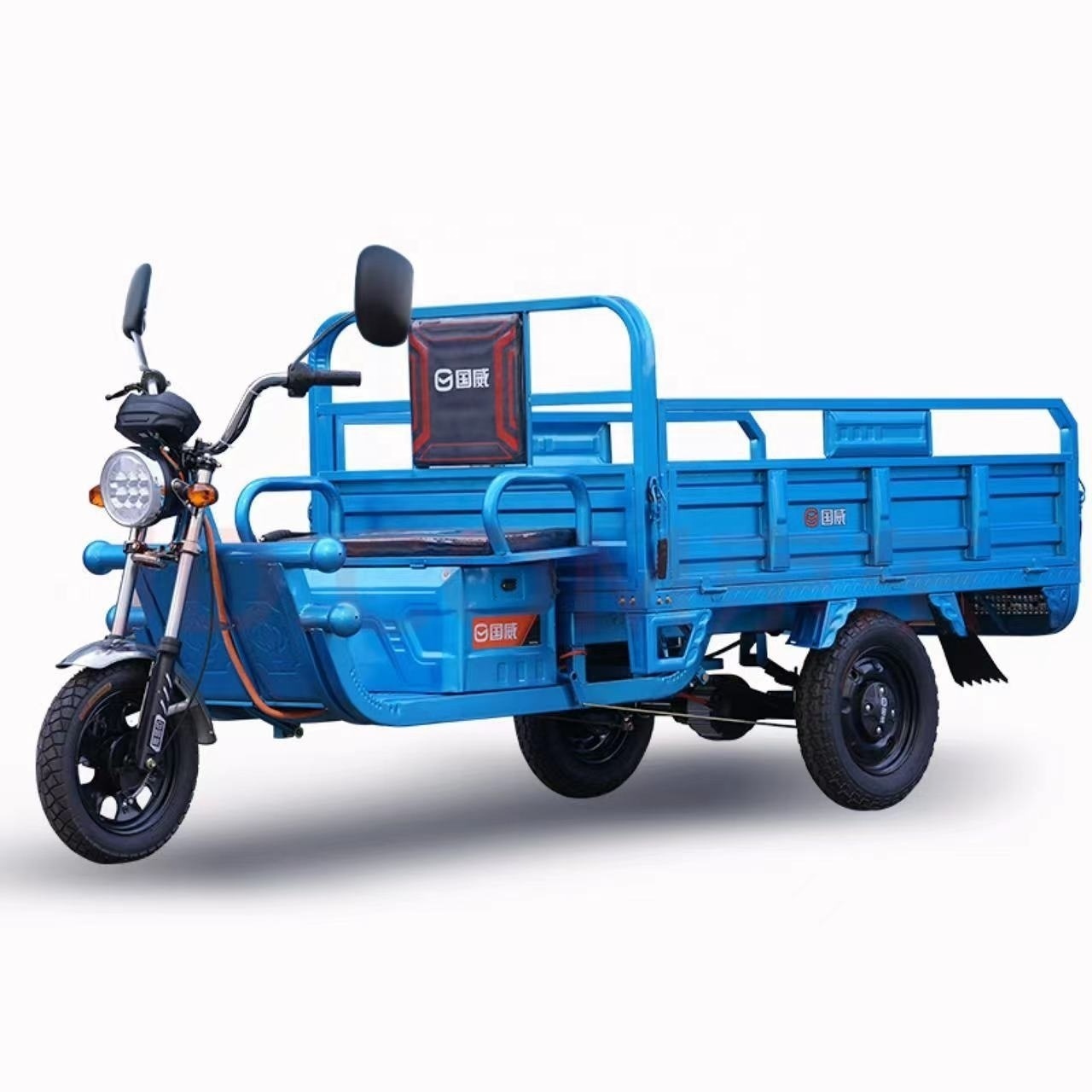 Eaynon Tailg Cargo Tricycle Electric 3 Three Wheel Scooter Trade Tricycles motorcycle For Adult